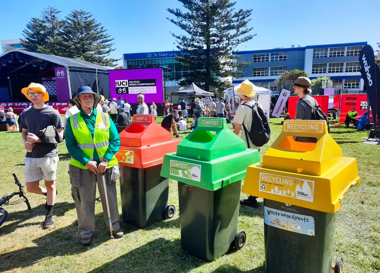 How Expert Tree Pruning Services Improve Growth and Safety