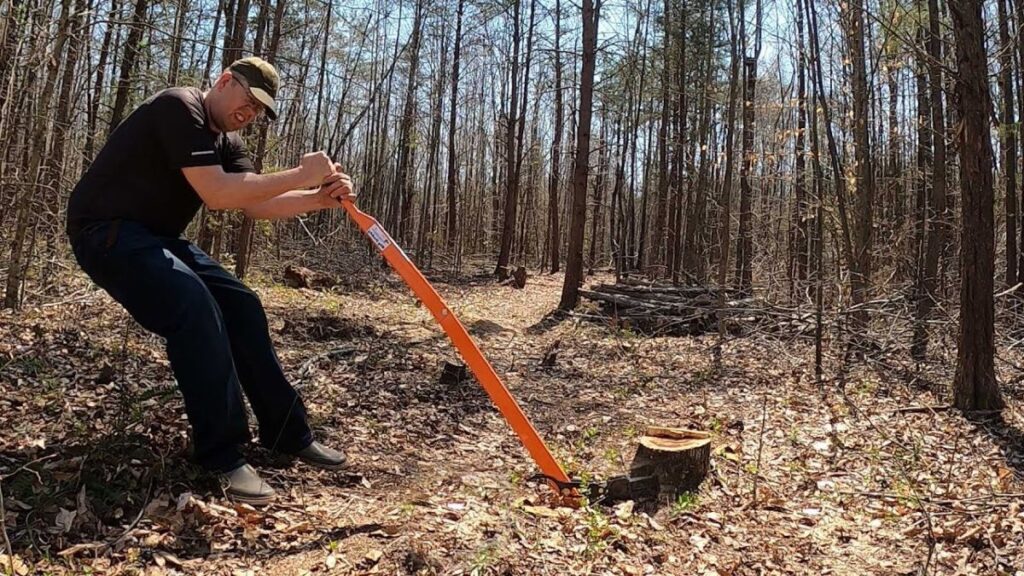 Understanding Tree Pruning Cost Before You Hire