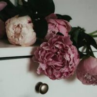 Anniversary Flowers Delivery: Timing a Surprise That Actually Works